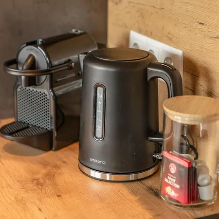 Ramsauerin * ラムサウ・アム・ダッハシュタイン